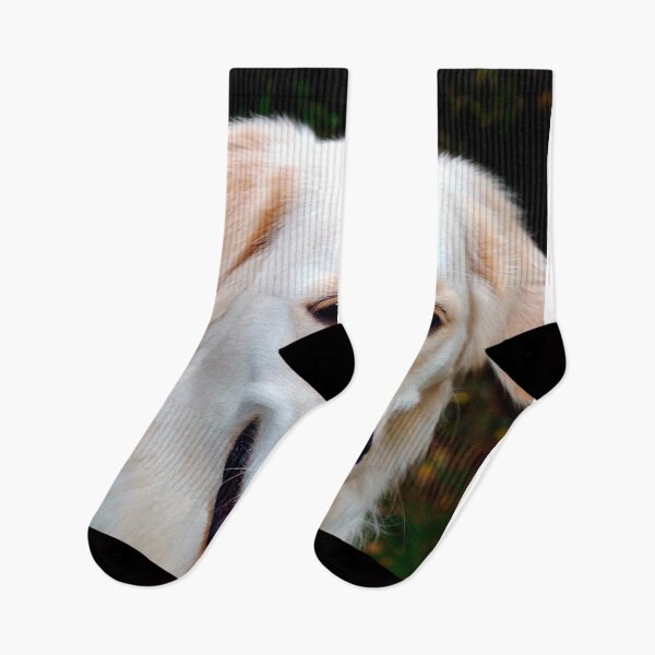 Item preview, Golden Retriever Dog Portrait designed and sold by AndyEvansPhotos.