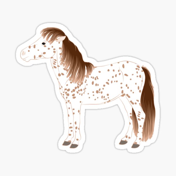 Aperçu de l'œuvre Cheval Falabella, cheval miniature, cheval tacheté, races de chevaux d'Argentine créée et vendue par WebEquitation®.