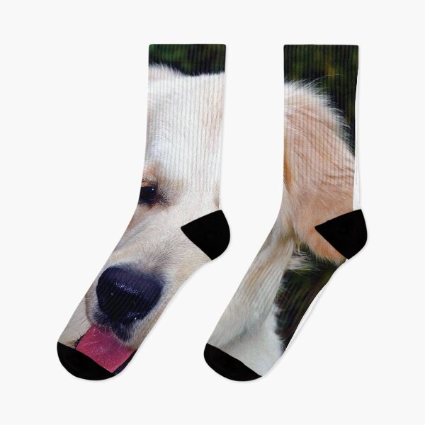 Item preview, Golden Retriever Dog Portrait designed and sold by AndyEvansPhotos.