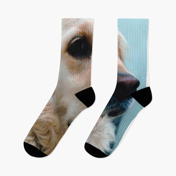 Item preview, Golden Retriever Dog Portrait designed and sold by AndyEvansPhotos.