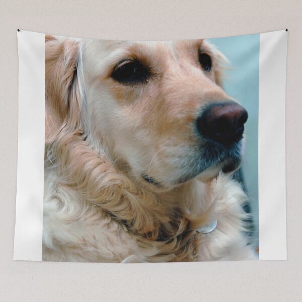 Item preview, Golden Retriever Dog Portrait designed and sold by AndyEvansPhotos.