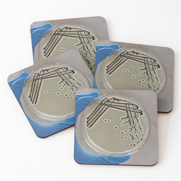 Item preview, Quadrant Streak of Staphylococcus aureus designed and sold by NandaniBridglal.