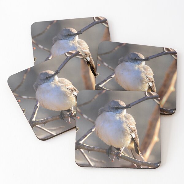 Item preview, sinsonte designed and sold by Parks and X.