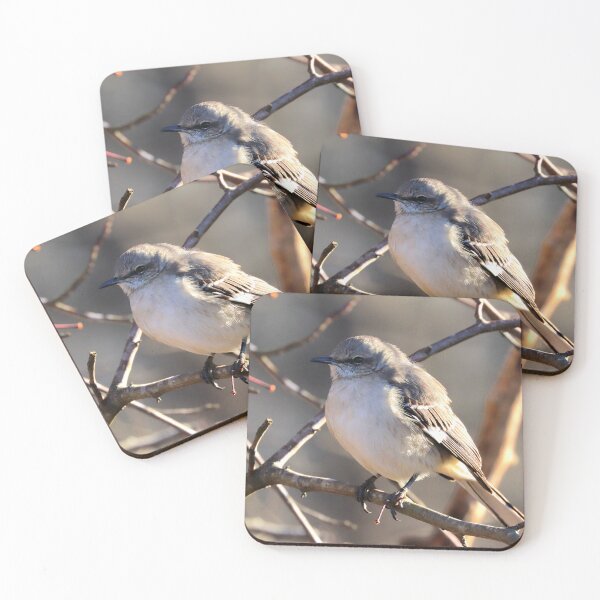 Item preview, sinsonte designed and sold by Parks and X.