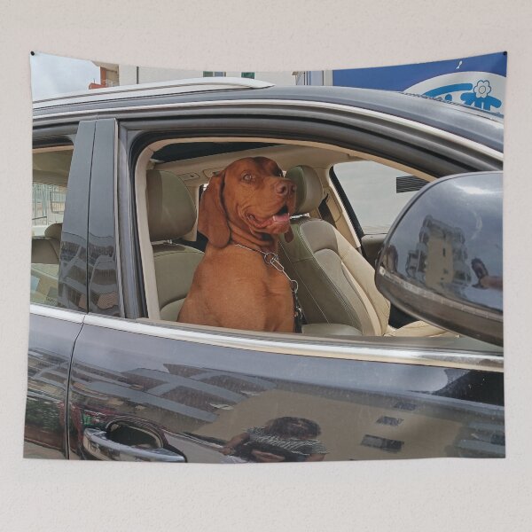 Item preview, The VIP Vizsla: When Your Dog Has More Social Life Than You designed and sold by EpicVistas.