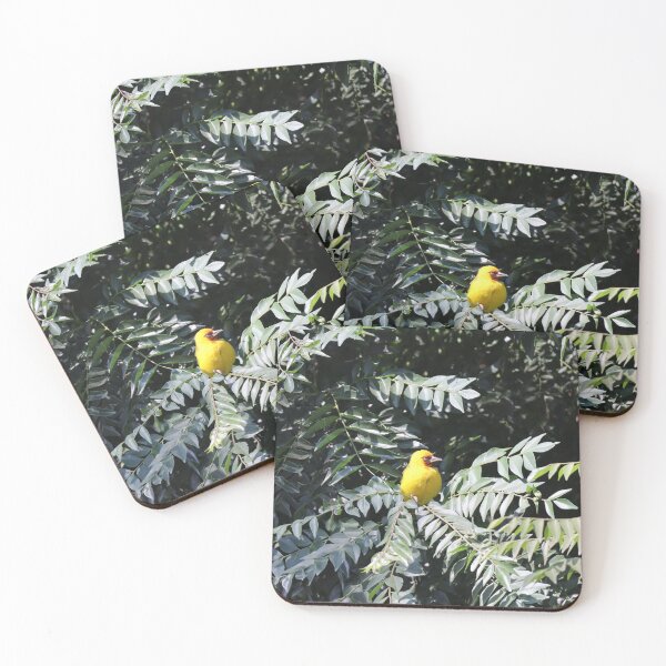 Item preview, Weaver bird in a tree designed and sold by Proud & Pretty Wildlife Photography.