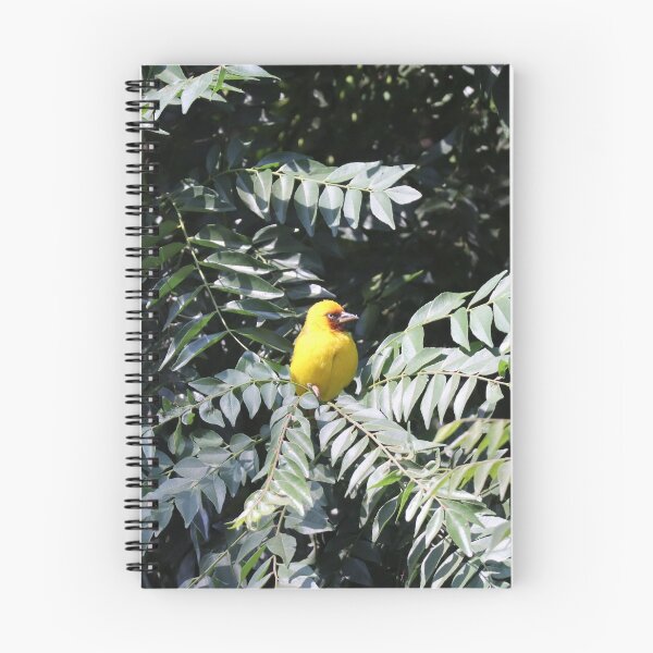 Item preview, Weaver bird in a tree designed and sold by Proud & Pretty Wildlife Photography.