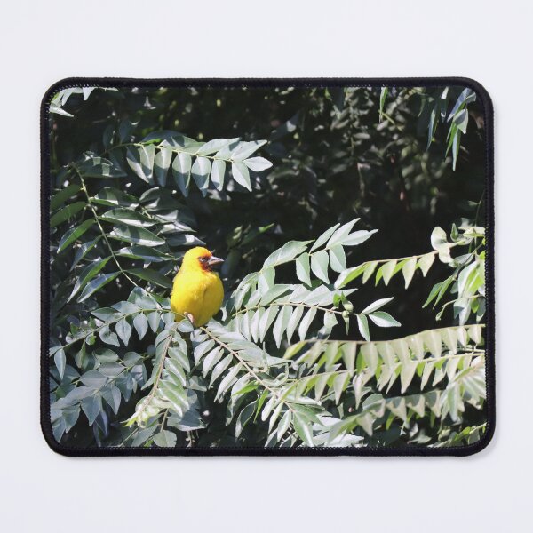 Item preview, Weaver bird in a tree designed and sold by Proud & Pretty Wildlife Photography.