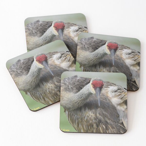 Item preview, Sandhill Crane designed and sold by Qzmet.
