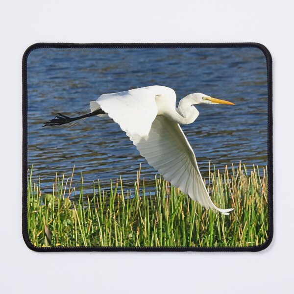 Item preview, White Egret Flying. designed and sold by Qzmet.