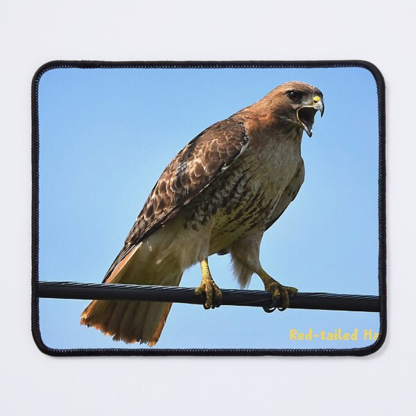 Item preview, Red-Tailed Hawk designed and sold by Qzmet.