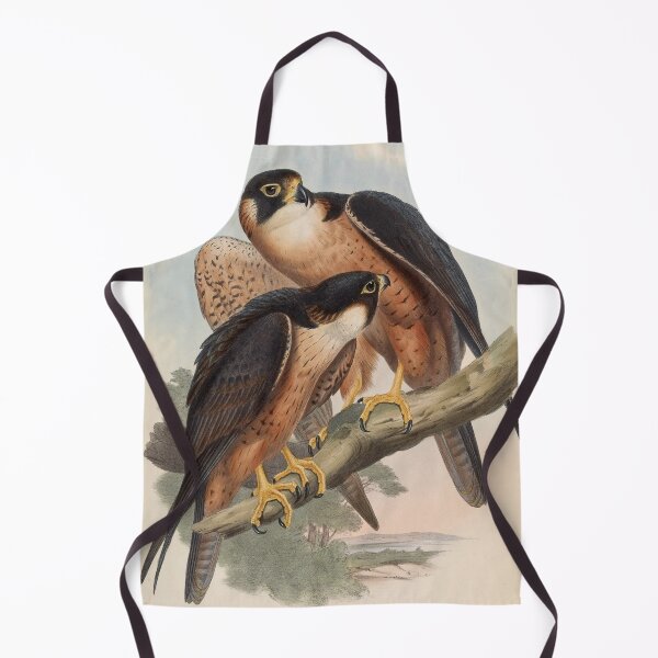 Item preview, Vintage Falcon Illustration – 19th-Century Ornithology Print designed and sold by InnerCitadel.