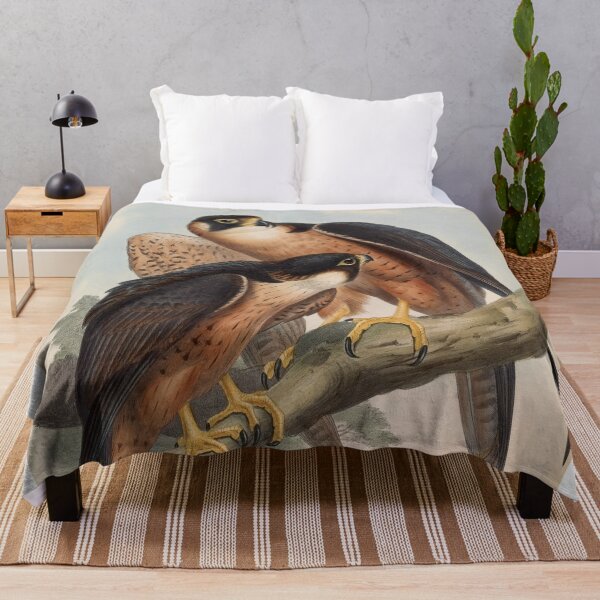 Item preview, Vintage Falcon Illustration – 19th-Century Ornithology Print designed and sold by InnerCitadel.