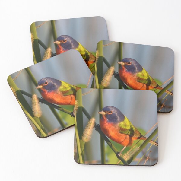 Item preview, Painted Bunting designed and sold by Qzmet.