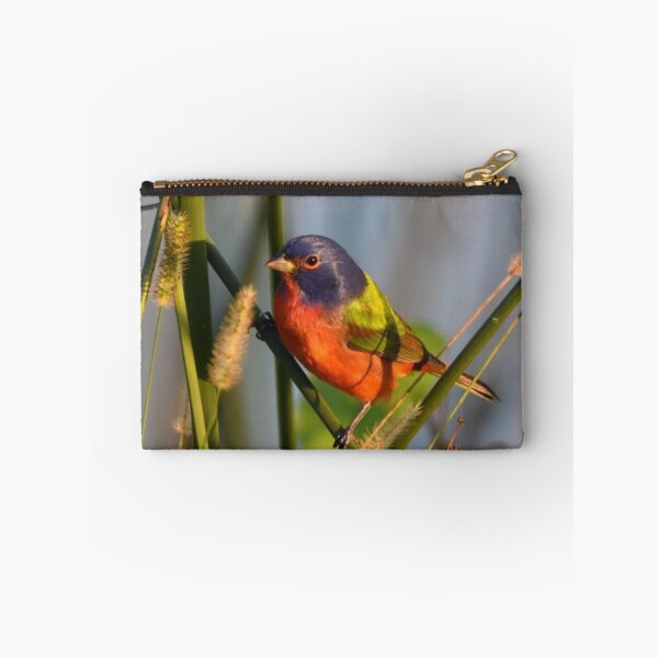 Item preview, Painted Bunting designed and sold by Qzmet.