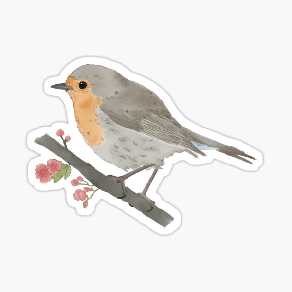 Aperçu de l'œuvre Robin créée et vendue par PuffyFeathers.