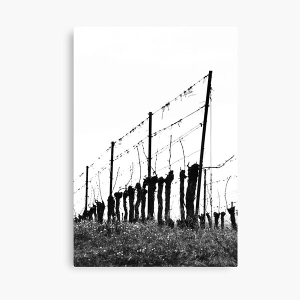 Item preview, Highly Strung. designed and sold by Paul Pasco.