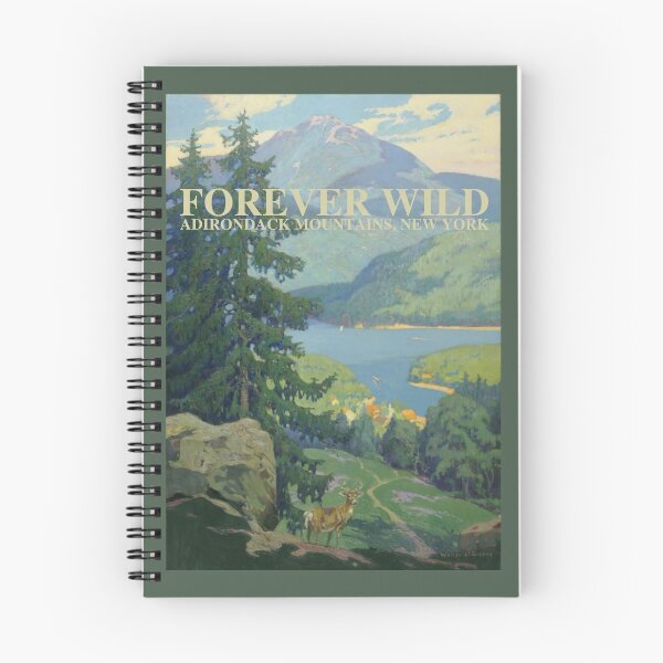 Item preview, Forever Wild Adirondack Mountains, NY - vintage painting designed and sold by YonderAndBeyond.
