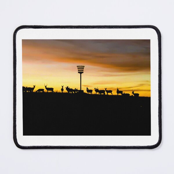 Item preview, Herd of dear in silhouette  designed and sold by Martin Fenton.