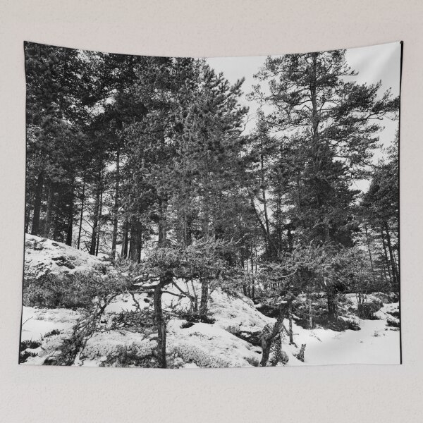 Item preview, Natural bonzai. Haukkajarvi bw designed and sold by Jouko Lehto Photography.