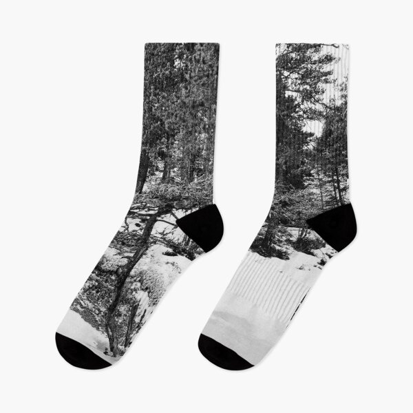 Item preview, Natural bonzai. Haukkajarvi bw designed and sold by Jouko Lehto Photography.