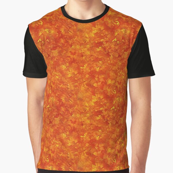 Phoenix Graphic T-Shirt