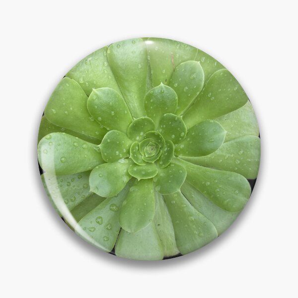 Item preview, Post Rain Succulent designed and sold by SucculentLovers.