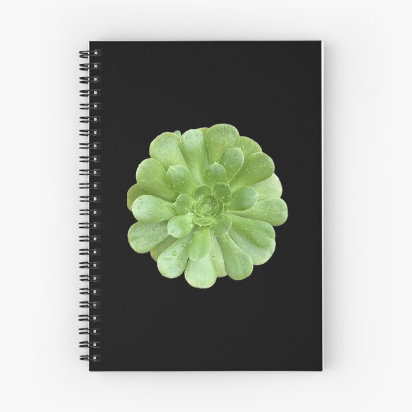 Item preview, Post Rain Succulent designed and sold by SucculentLovers.