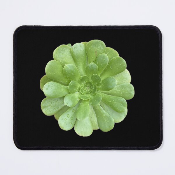 Item preview, Post Rain Succulent designed and sold by SucculentLovers.