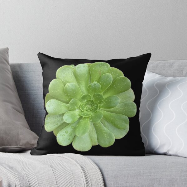Item preview, Post Rain Succulent designed and sold by SucculentLovers.
