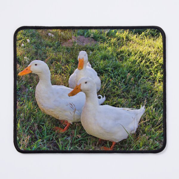 Item preview, Peking Ducks designed and sold by alanathrower.