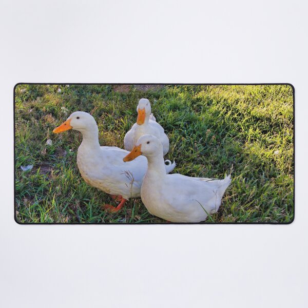 Item preview, Peking Ducks designed and sold by alanathrower.