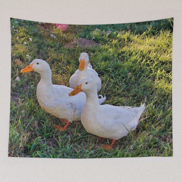Artikelvorschau, Peking-Enten entworfen und verkauft von alanathrower.