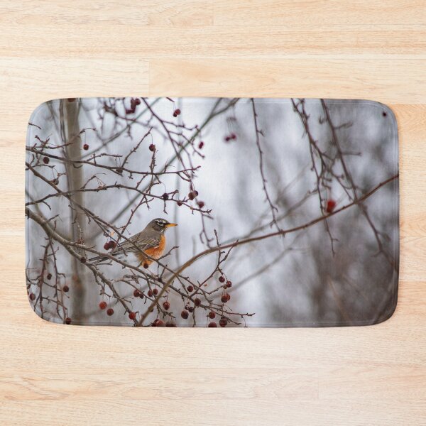Item preview, Winter Robin In Ohio designed and sold by Split2ndPhotos.