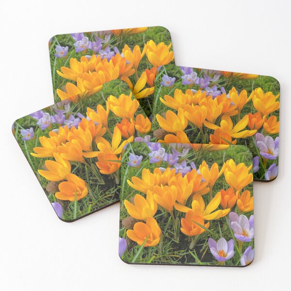 Item preview, Crocuses in soft Spring Sunshine designed and sold by Violaman.