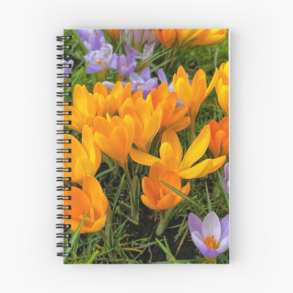 Item preview, Crocuses in soft Spring Sunshine designed and sold by Violaman.