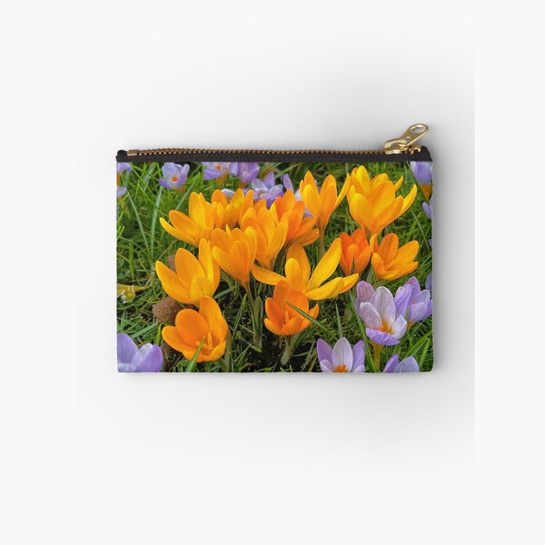 Item preview, Crocuses in soft Spring Sunshine designed and sold by Violaman.