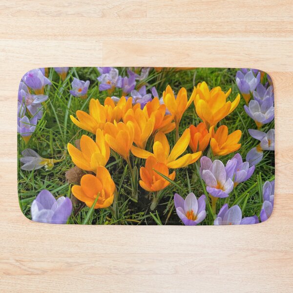 Item preview, Crocuses in soft Spring Sunshine designed and sold by Violaman.