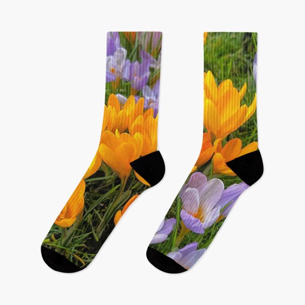 Item preview, Crocuses in soft Spring Sunshine designed and sold by Violaman.