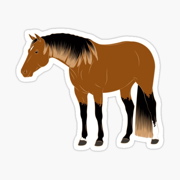 Aperçu de l'œuvre Quarter Horse, cheval isabelle, cheval de selle, races de chevaux des États unis créée et vendue par WebEquitation®.