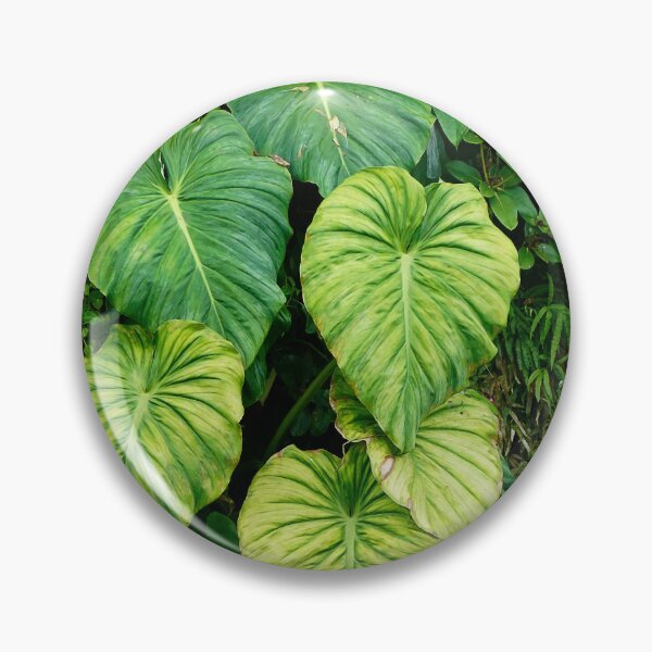 Item preview, Nature 2 - (c) ben yassa designed and sold by beny .