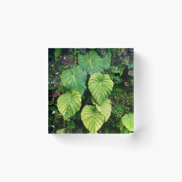 Item preview, Nature 2 - (c) ben yassa designed and sold by beny .