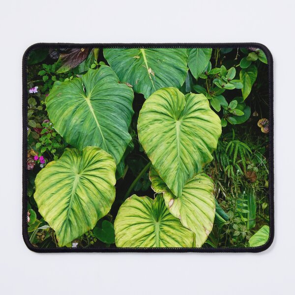 Item preview, Nature 2 - (c) ben yassa designed and sold by beny .