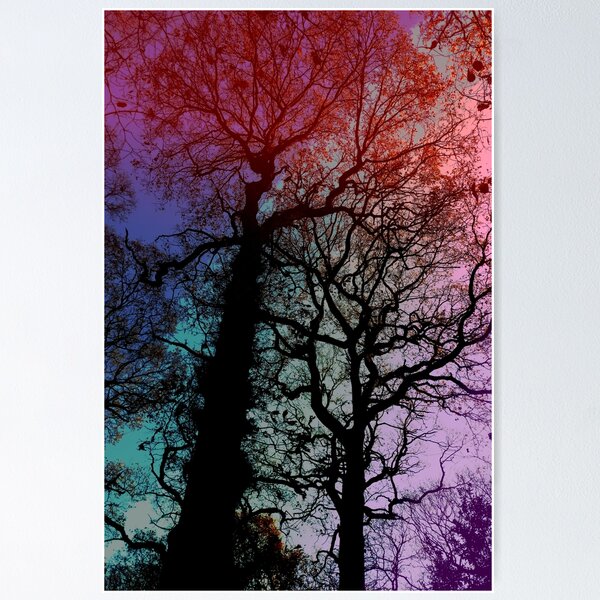 Item preview, Twisted Autumn oaks 3, coloured sky edit designed and sold by paulboizot.