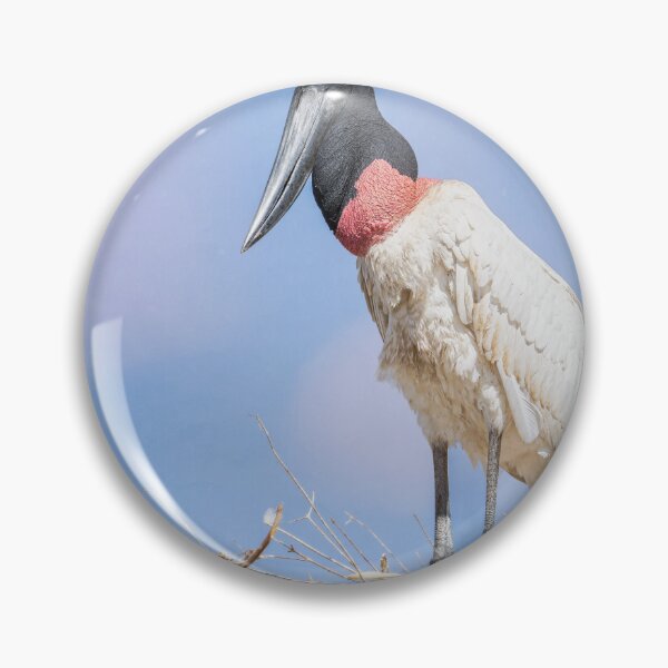 Item preview, Adult Jabiru Guards the Nest Pantanal Brazil designed and sold by PhotoArt by Joan Carroll.