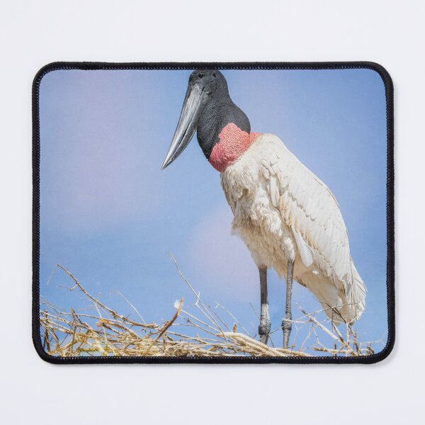 Item preview, Adult Jabiru Guards the Nest Pantanal Brazil designed and sold by PhotoArt by Joan Carroll.