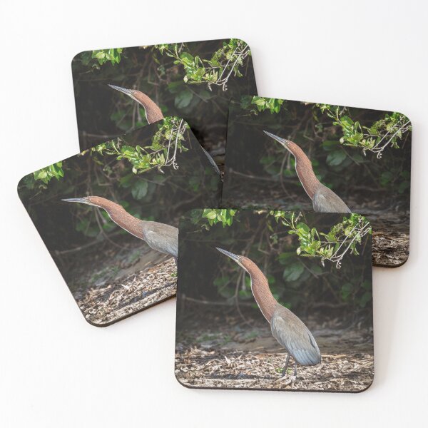 Item preview, Rufescent Tiger Heron Pantanal Brazil designed and sold by PhotoArt by Joan Carroll.