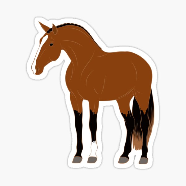 Aperçu de l'œuvre Cheval Alter Real, dessin cheval bai, cheval ibérique, races de chevaux du Portugal créée et vendue par WebEquitation®.