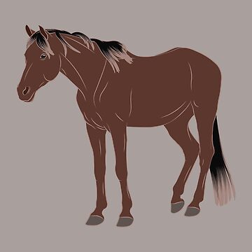 Aperçu de l'œuvre Cheval Aénos, dessin cheval rouanné, cheval de petite taille, races de chevaux de la Grèce de WebEquitation®