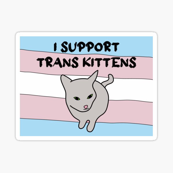 Item preview, I Support Trans Kittens designed and sold by SpoonsAndRoses.